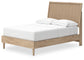 Cielden  Panel Bed With Mirrored Dresser, Chest And Nightstand