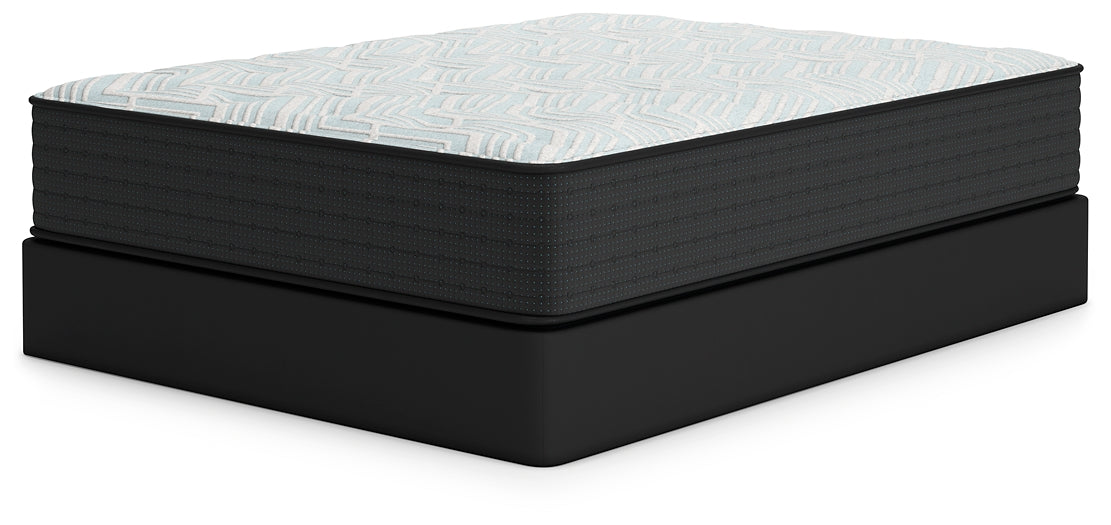 Palisades Plush Queen Mattress